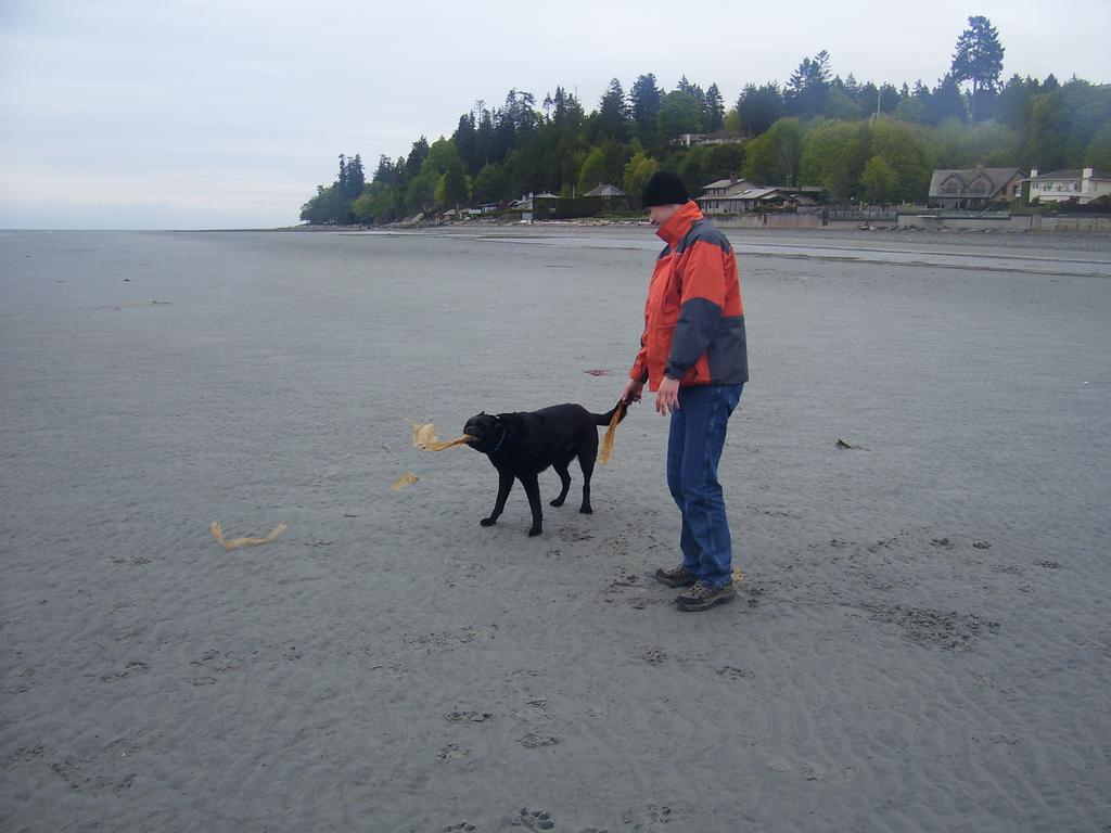 At Nautica Tigh Private Keypad Entrances Bed & Breakfast Qualicum Beach Bagian luar foto