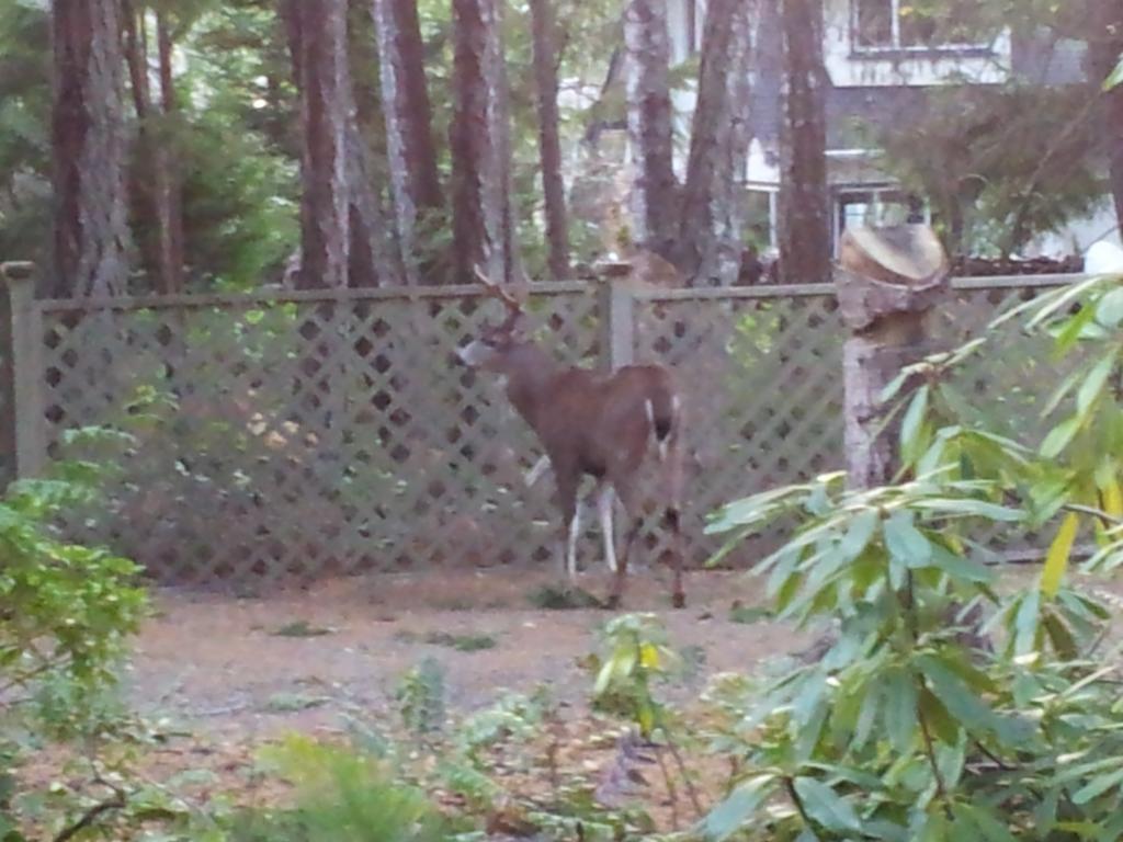 At Nautica Tigh Private Keypad Entrances Bed & Breakfast Qualicum Beach Bagian luar foto
